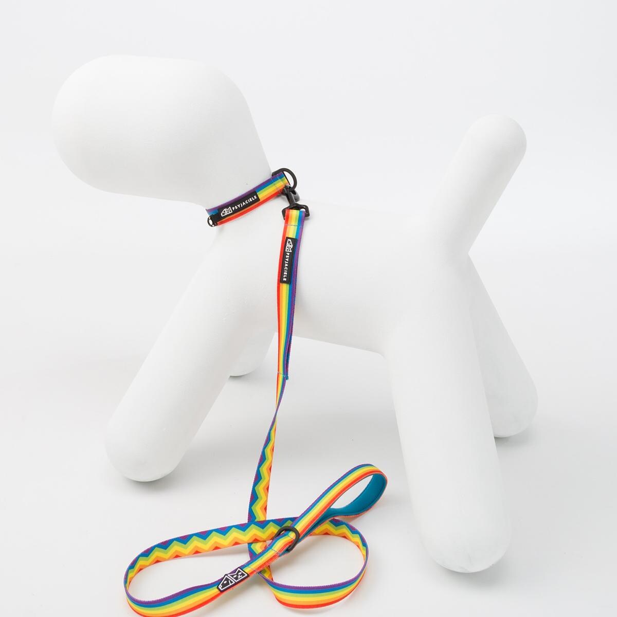 Obroża dla psa lub kota "Miłość, równość, gryzaki" - Szerokość taśmy: 20mm, Rozmiar: XS