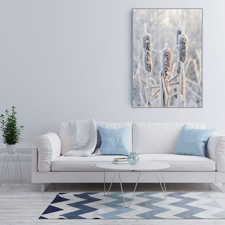 plakat frozen plant 70x100 cm