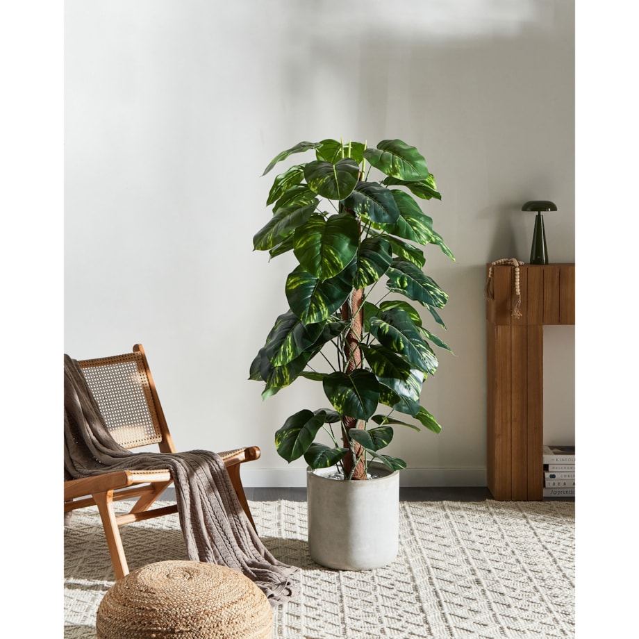 Sztuczna roślina DIEFFENBACHIA 152 cm Zielony