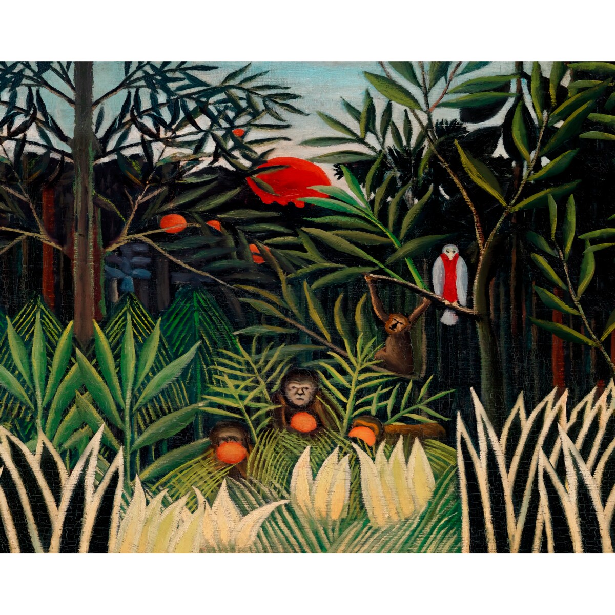 Tapeta Małpi gaj, 416x254cm