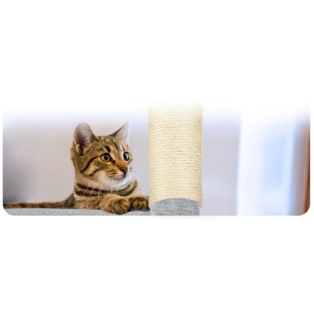 Drapak dla kota legowisko domek wieża zabawka Pethaus