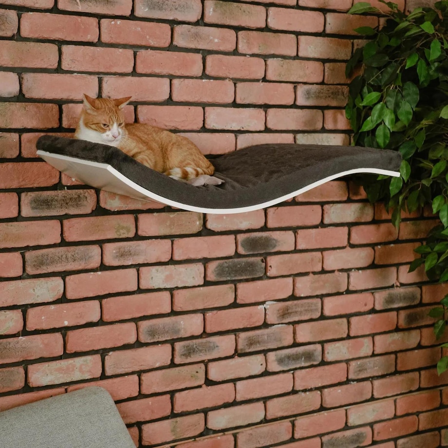 Półka dla kota Chill Deluxe