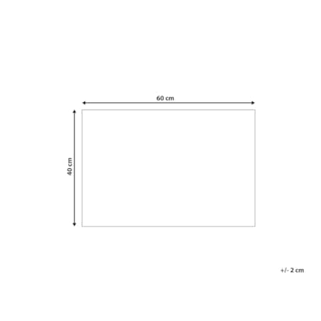 Wycieraczka kokosowa 40 x 60 cm naturalna PAMIR
