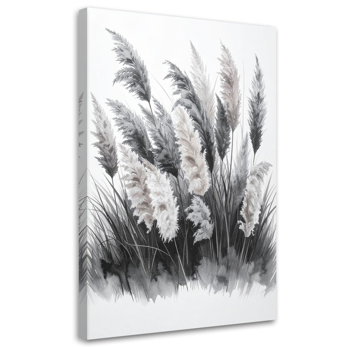 Obraz do salonu sypialni kuchni, Trawy pampasowe czarno białe 40x60