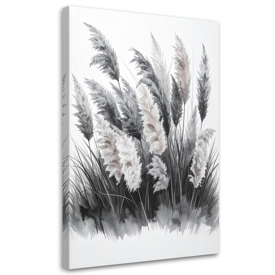Obraz do salonu sypialni kuchni, Trawy pampasowe czarno białe 40x60