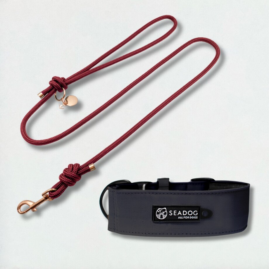 Zestaw: smycz sznurowa i szeroka obroża S