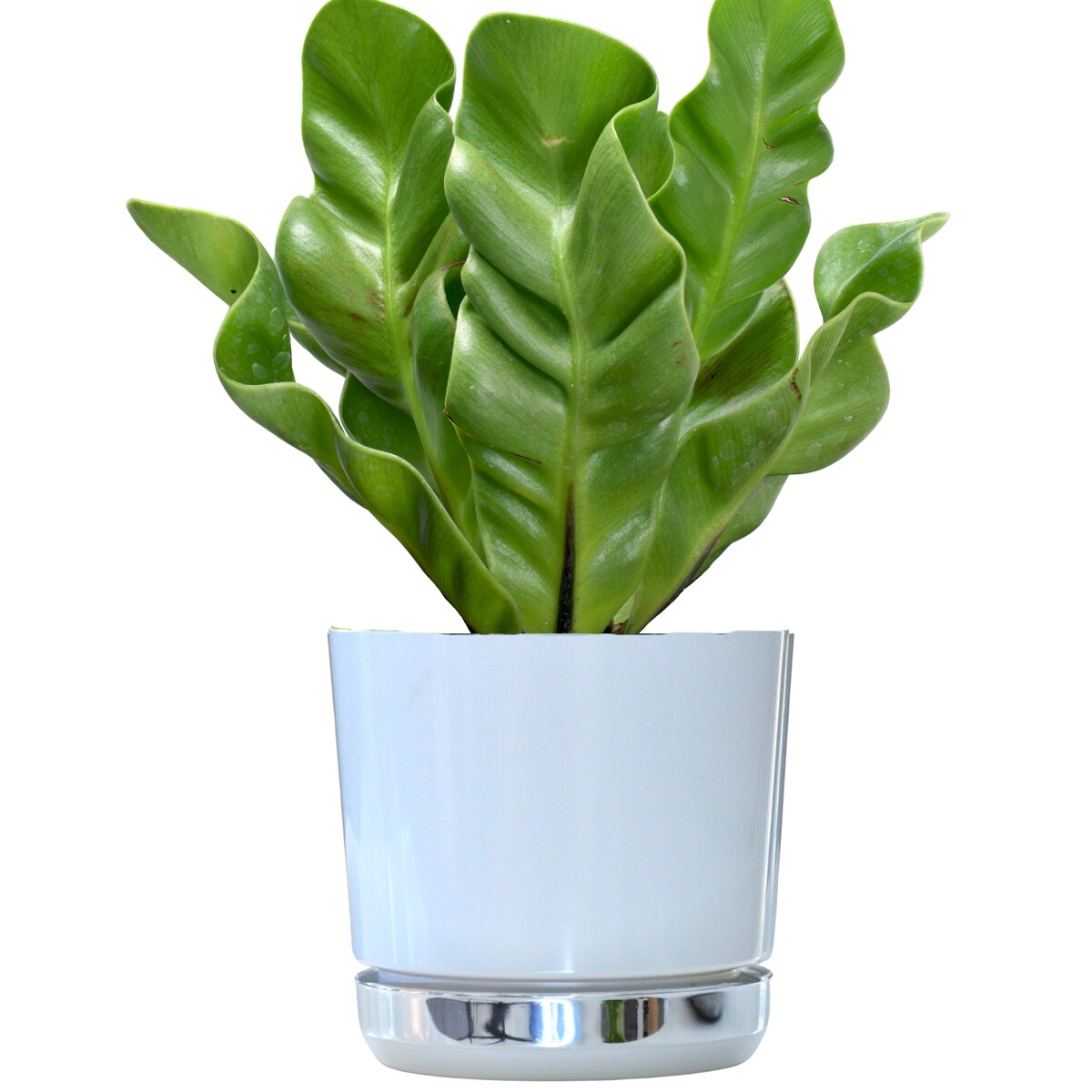 16 Doniczka DUO BIAŁA z podstawką KRAINA LODU dwukolorowa nowoczesna z połyskiem elegancka efekt lustra srebrna minimalizm