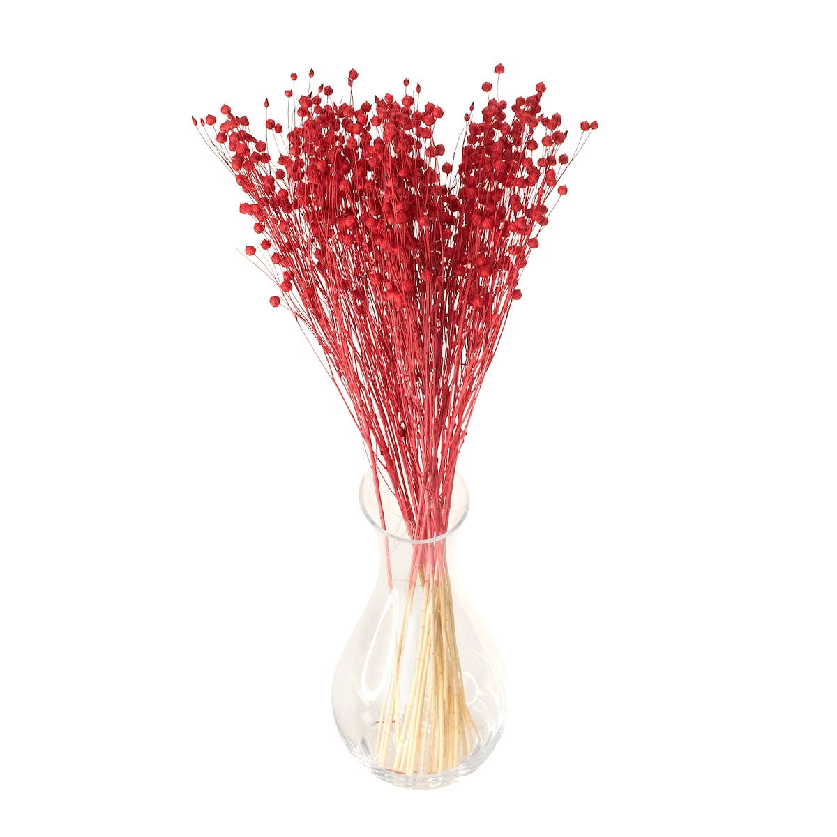 Suszony len czerwony - bukiet