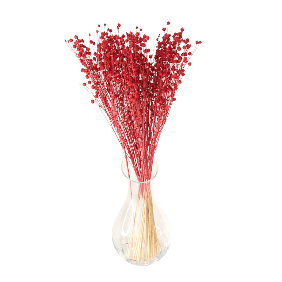 Suszony len czerwony - bukiet