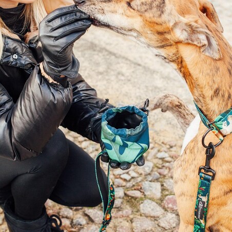 Mini saszetka na smaczki "Psikolaż"