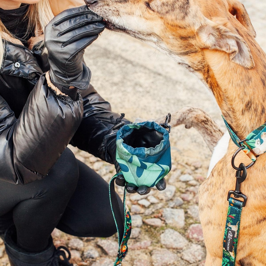 Mini saszetka na smaczki "Psikolaż"