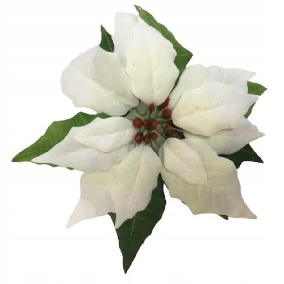 GWIAZDA KWIAT poinsecja BETLEJEMSKA BIAŁA jak żywa na bukiet stroik wianek