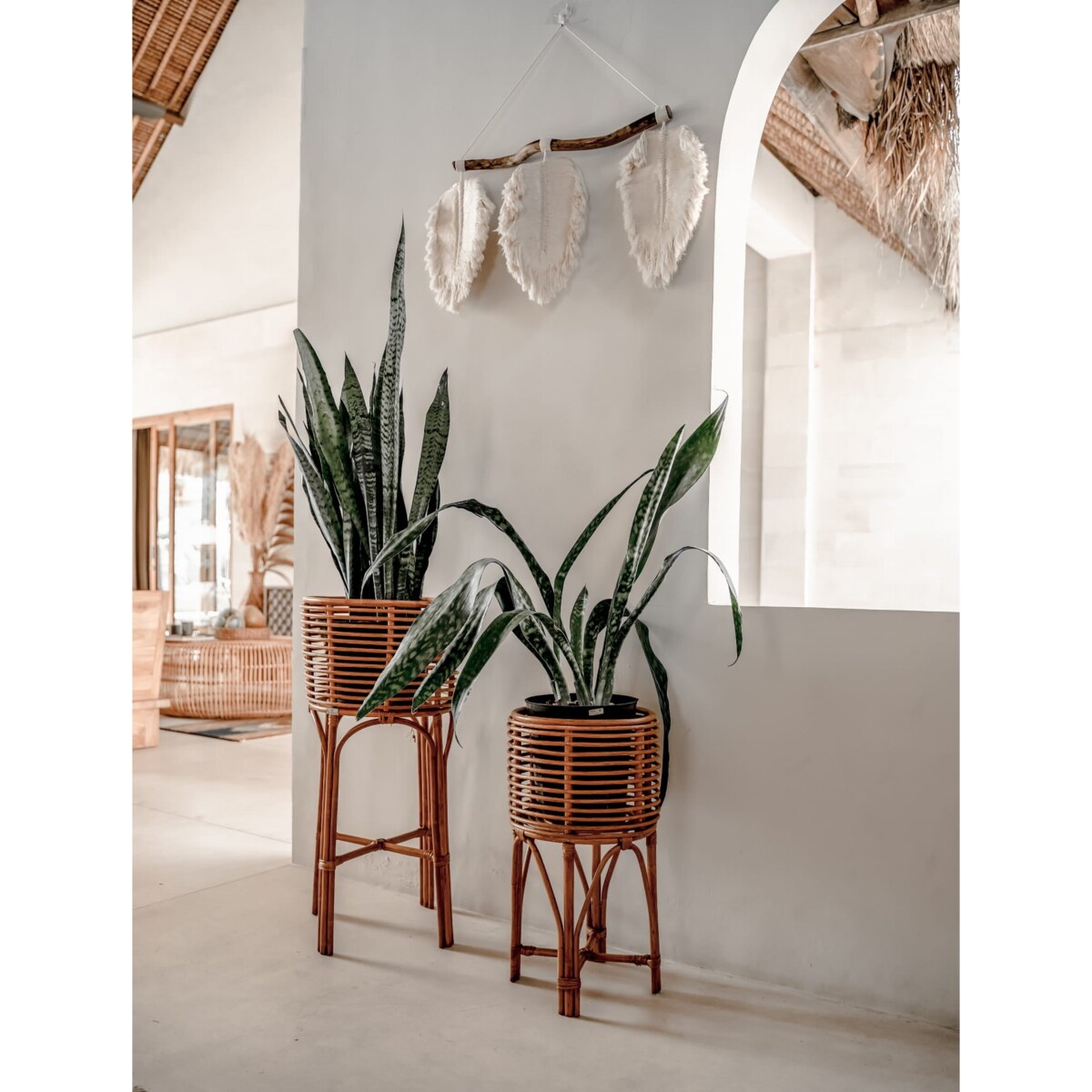 KWIETNIK POLLIE M NATURALNY