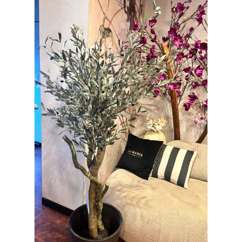 Drzewo oliwne 180cm na kręconym naturalnym pniu