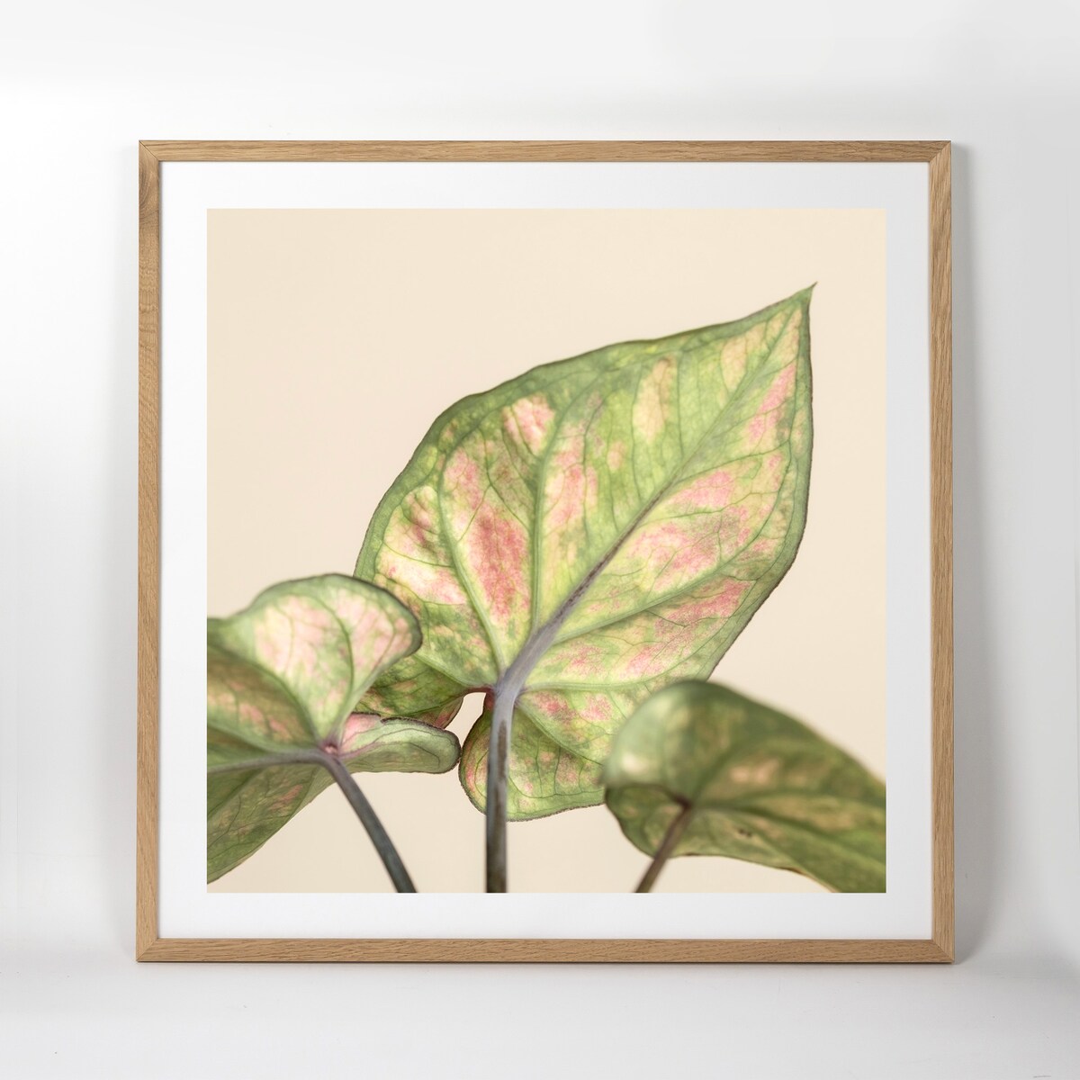 Ramka na zdjęcia 50x50 cm ramka drewniana dębowa naturalna foto ramka z litego drewna dębowego kwadratowa OAK FRAMAI