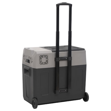 vidaXL Lodówka na kółkach, z zasilaczem, czarno-szara, 30 L, PP