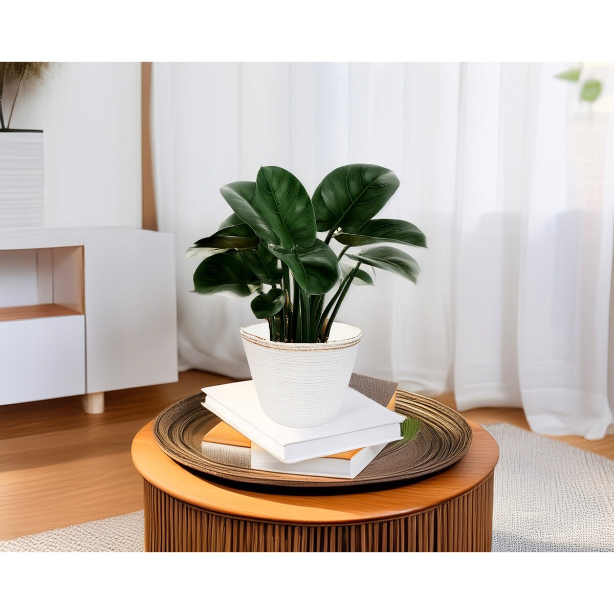 DONICZKA BIAŁA DUŻA 23cm boho na balkon taras osłonka do domu kaktusów