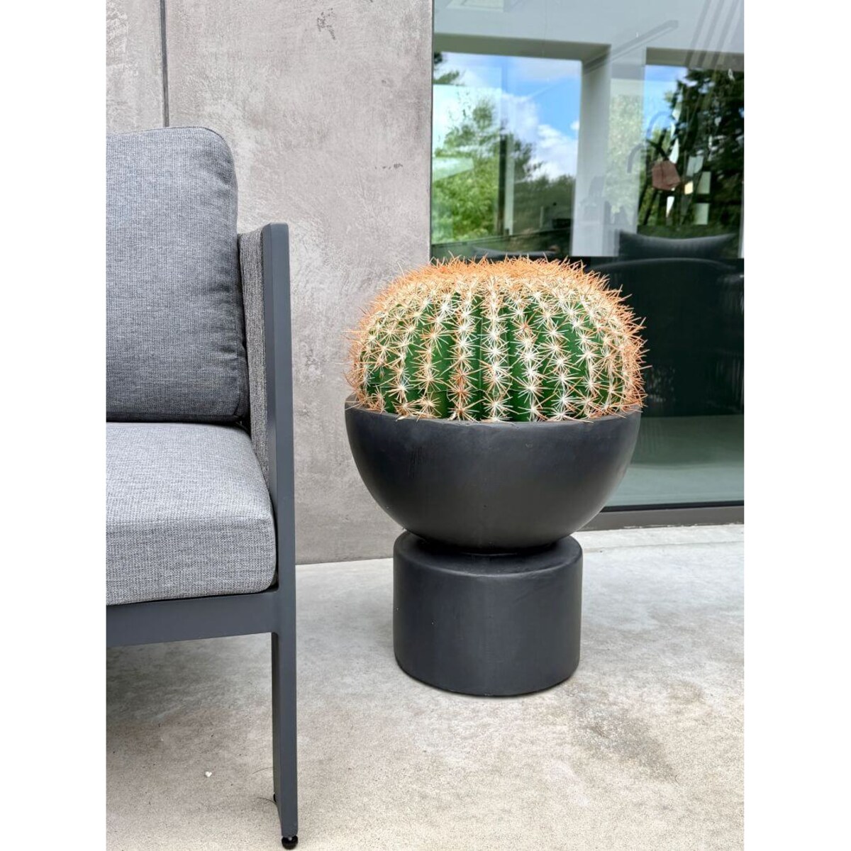 ZESTAW KAKTUSÓW KULISTYCH 25 I 45 CM