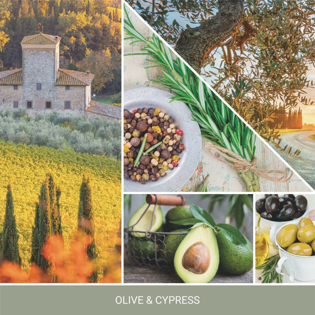 YC SIGNATURE – Świeca duża OLIVE & CYPRESS