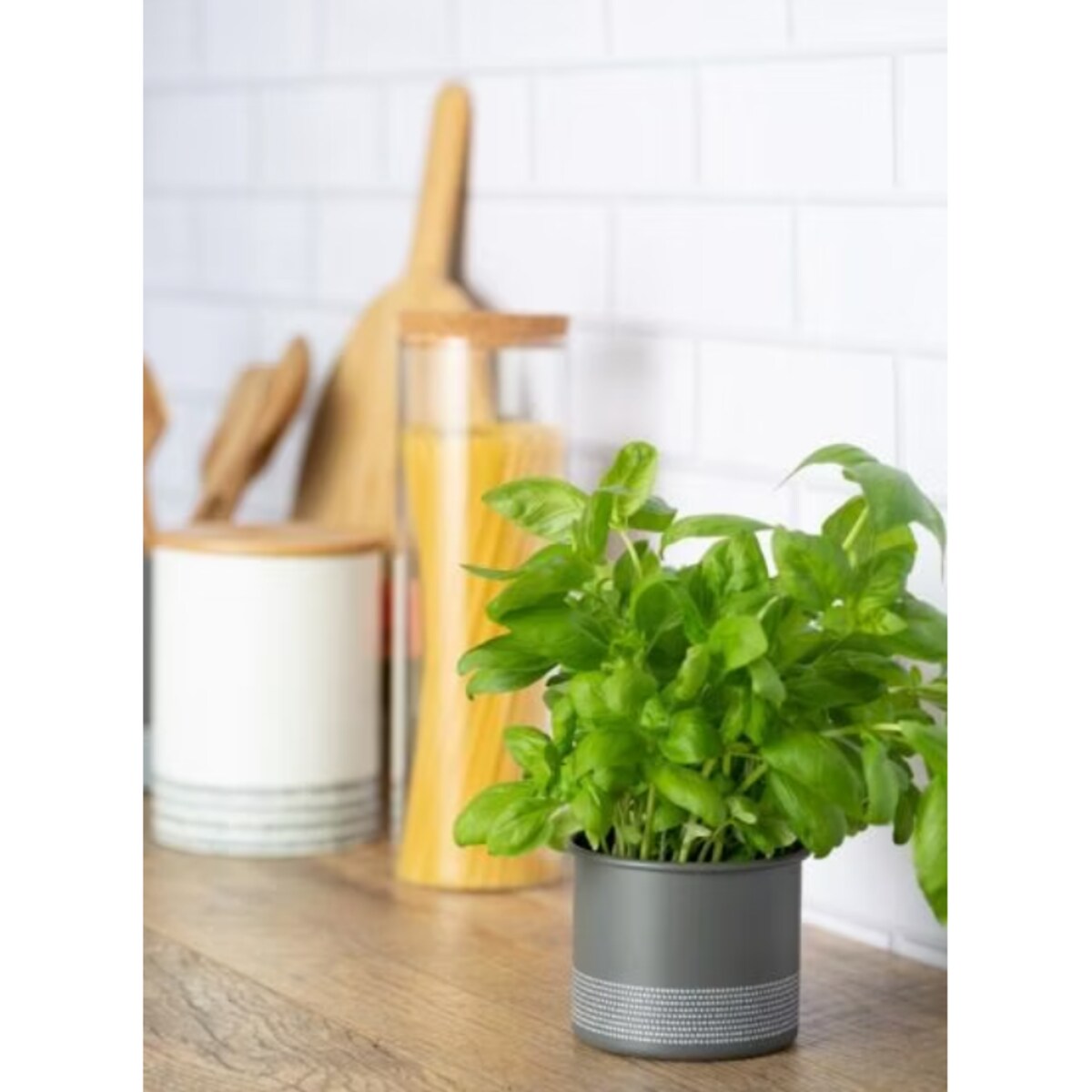 Osłonka na doniczkę na zioła szara Monochrome, Typhoon