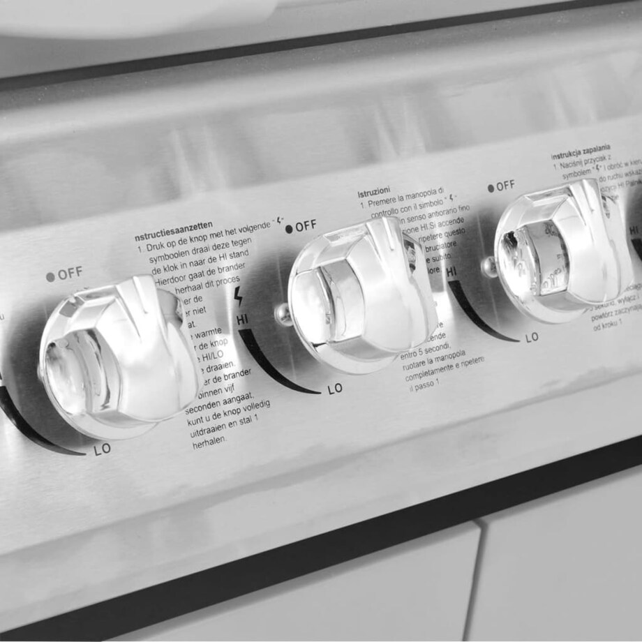 vidaXL Grill gazowy ze strefą gotowania 4+1, kolor czarno-srebrny