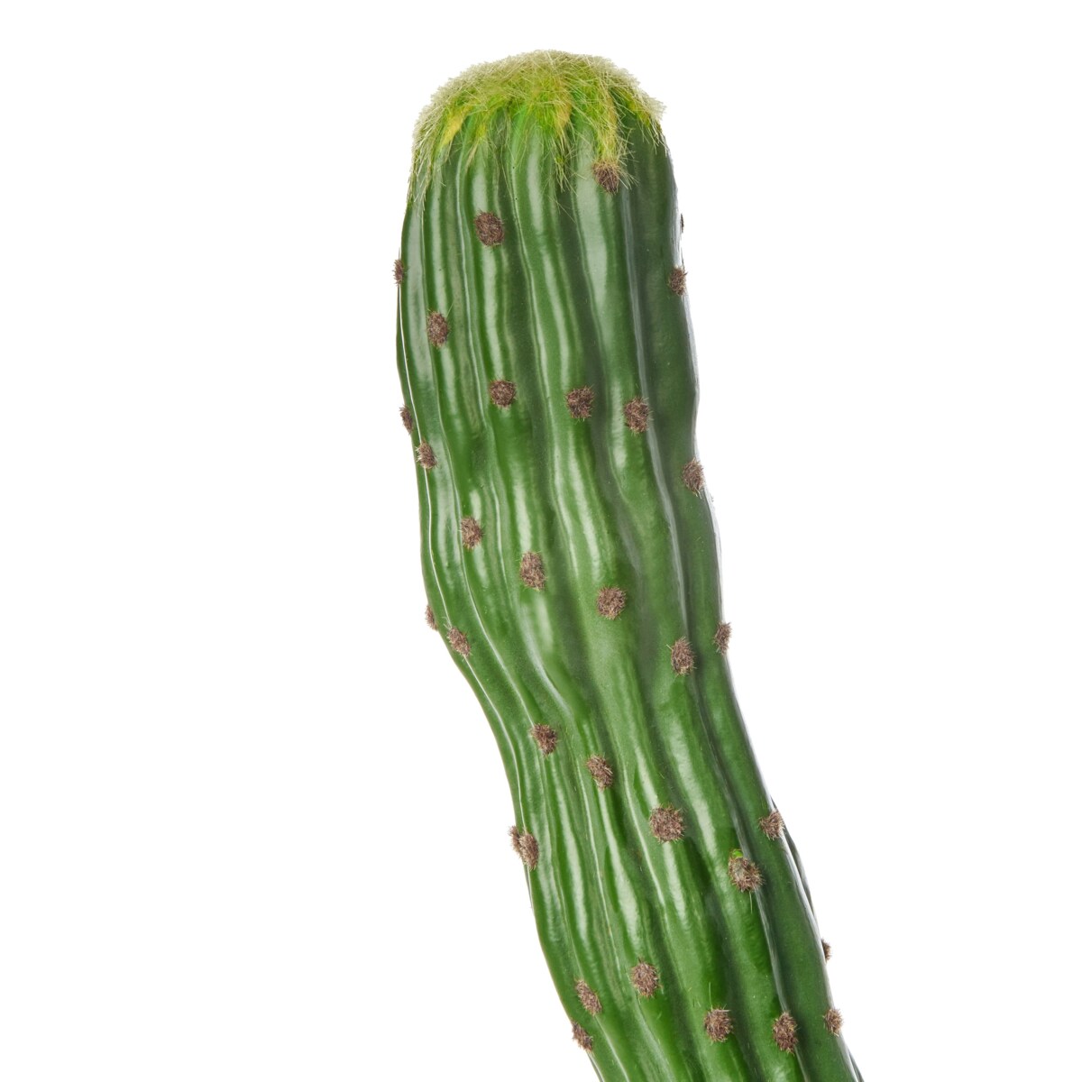 Sztuczna roślina MAROCCO CEREUS Zielony