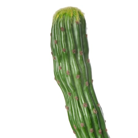 Sztuczna roślina MAROCCO CEREUS Zielony