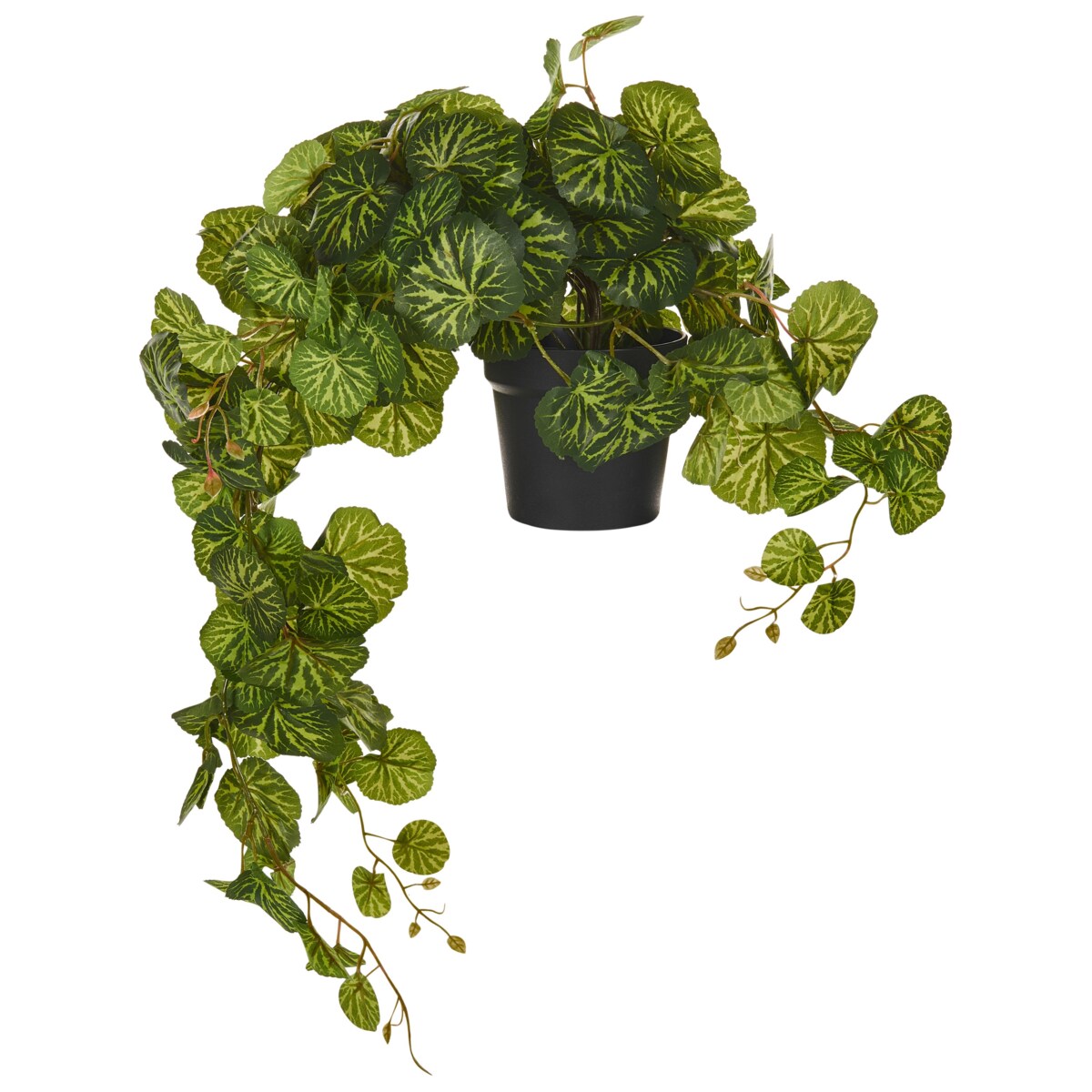 Sztuczna roślina KUNGA Zielony