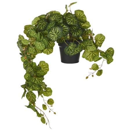 Sztuczna roślina KUNGA Zielony