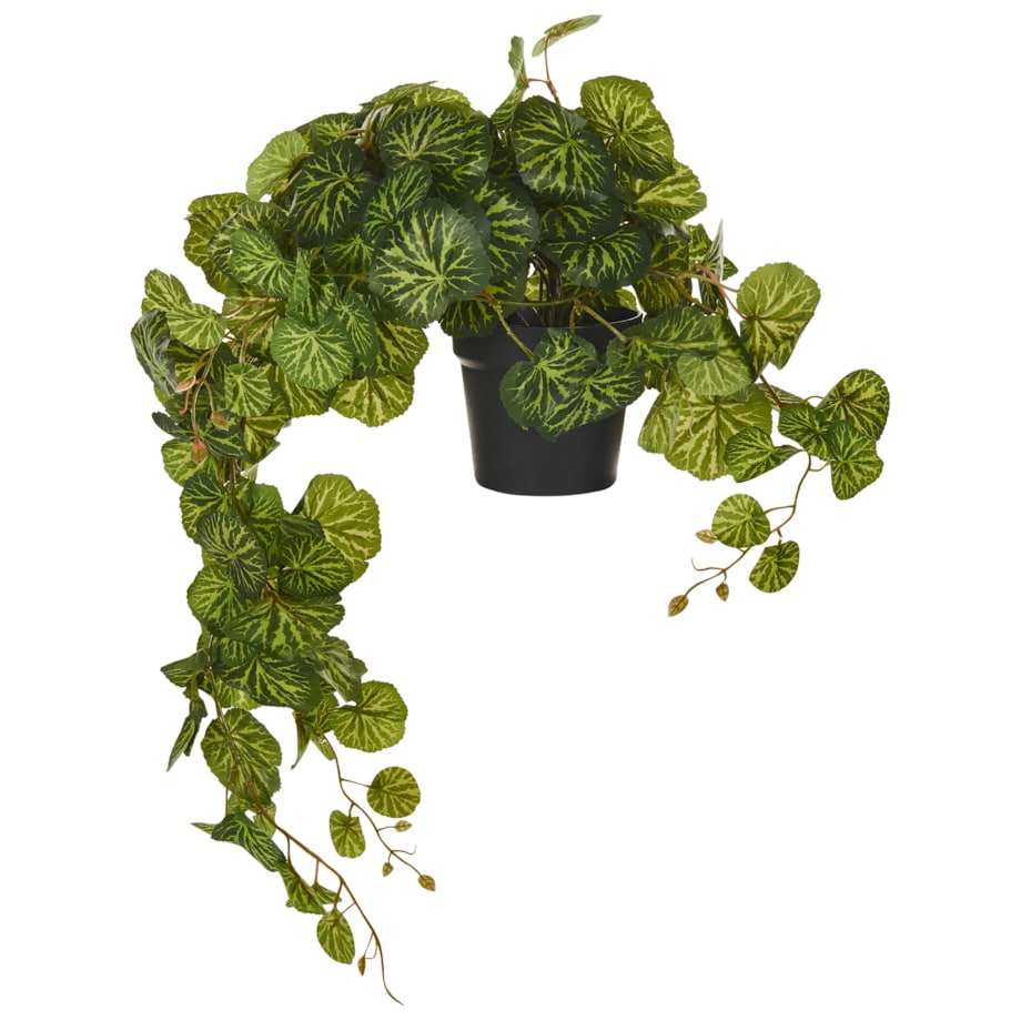 Sztuczna roślina KUNGA Zielony