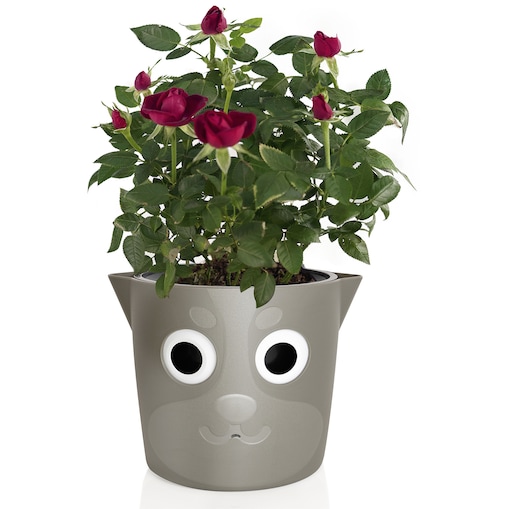 Doniczka ze wskaźnikiem poziomu wody, Ø 18 cm