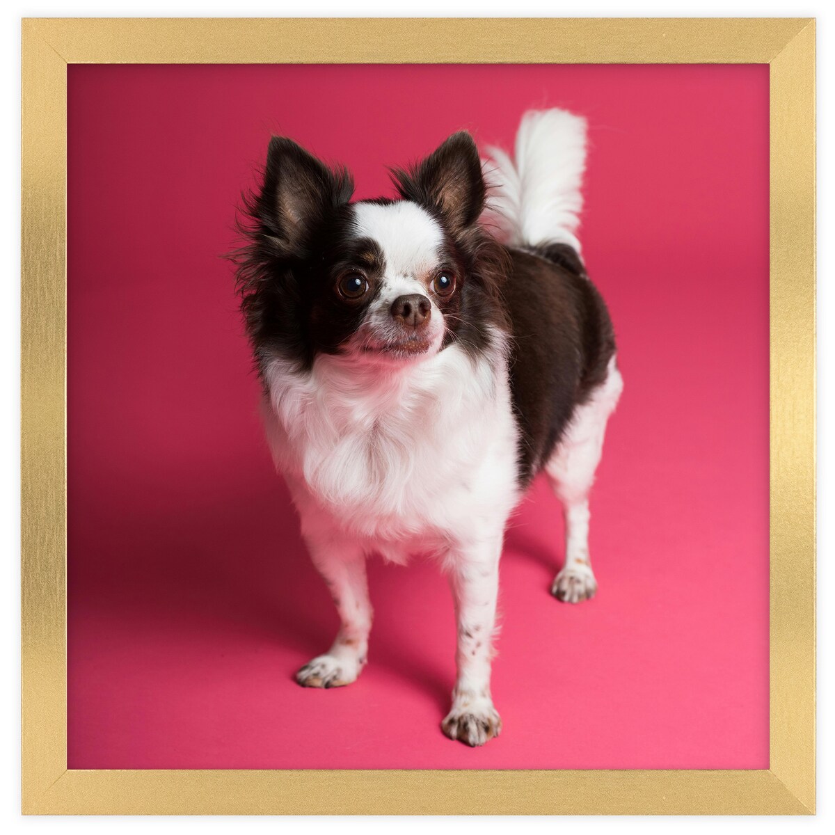 Ramka na zdjęcia 30x30 cm złota rama MDF z plexi do powieszenia pion poziom klasyczna kwadratowa ramka FRAMAI®