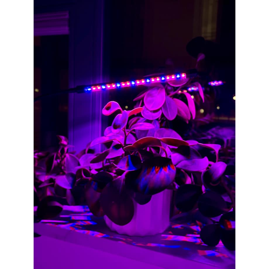 Lampa Led Do Wzrostu Roślin 20 Diod Timer 9 W Uprawa Roślin Do Domu Z Zasilaczem Sieciowym