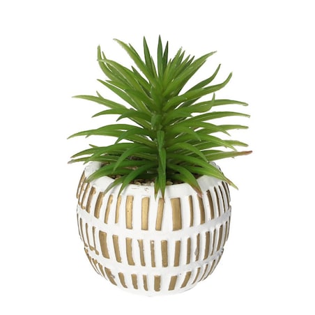 Dekoracja Sukulent w doniczce 13cm, 8 x 8 x 13 cm