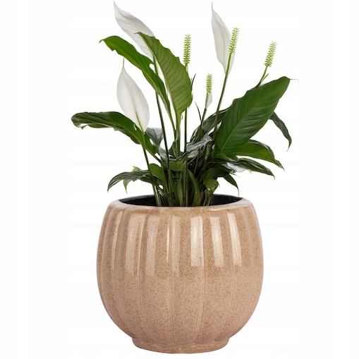 DONICZKA CERAMICZNA NA KWIATY BEŻOWA 13cm mała do salonu domu na prezent