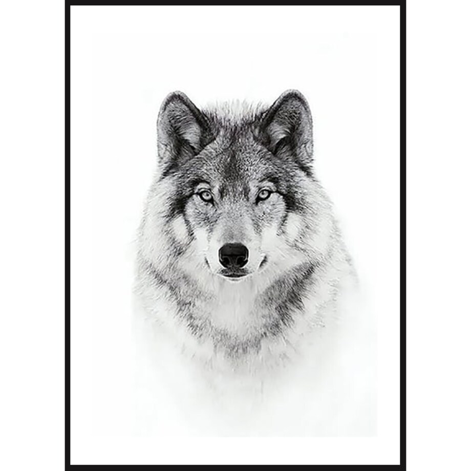 Poster Story, Plakat, Obraz - Wilk w Akwareli, wymiary 60 x 84 cm