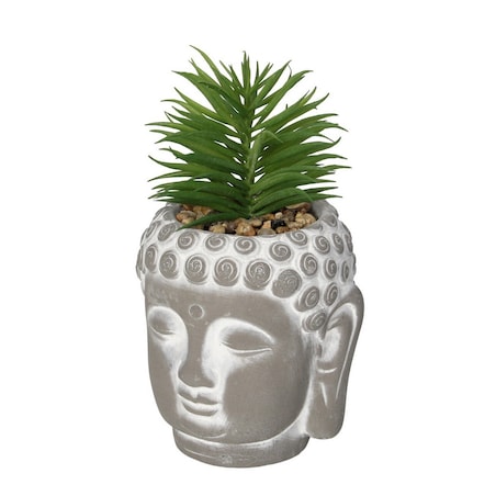Dekoracja Succulent I Buddha 17cm, 10 x 10 x 17 cm