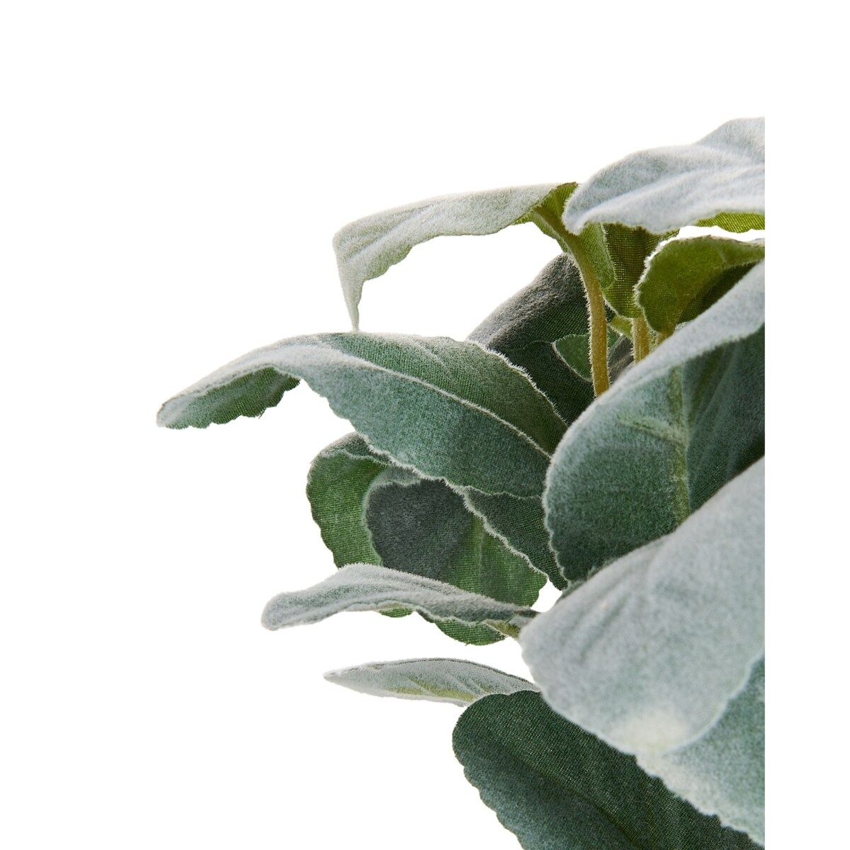 Sztuczna roślina KADIMA Zielony