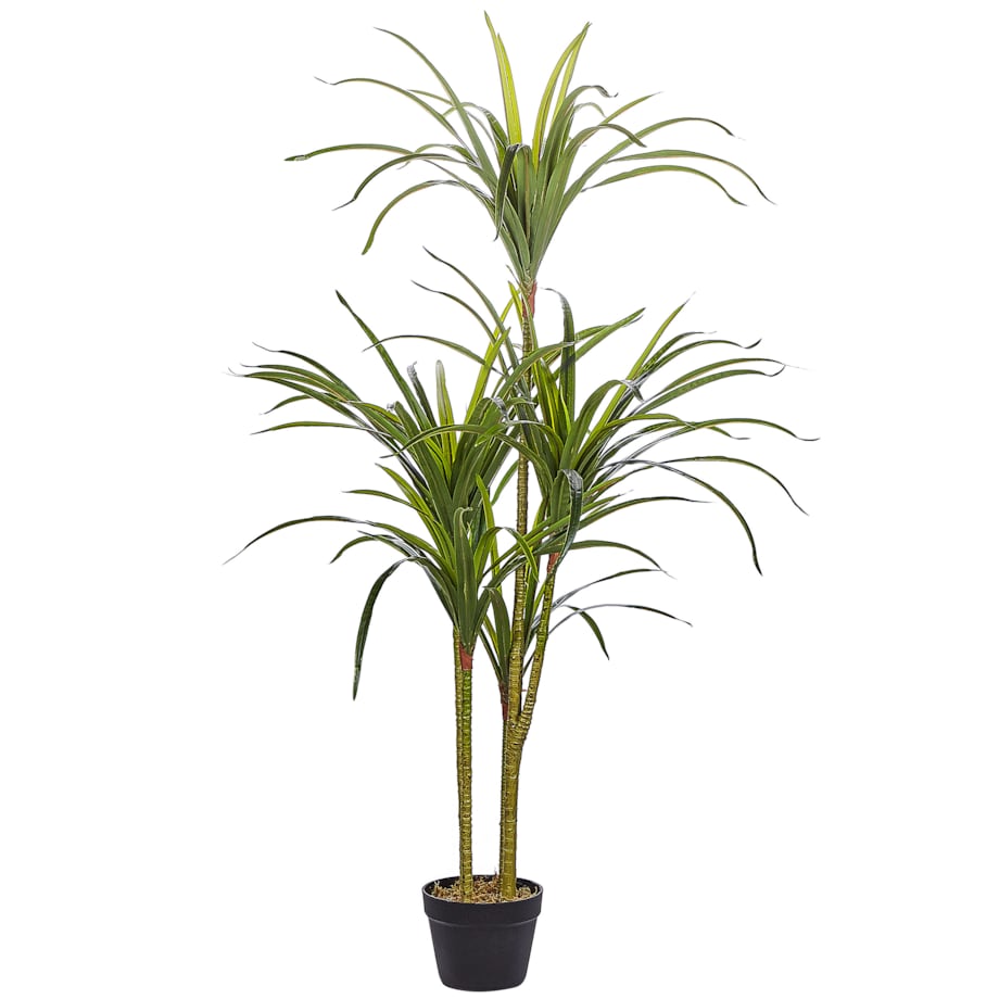 Sztuczna roślina DRACAENA ANITA 147 cm Zielony