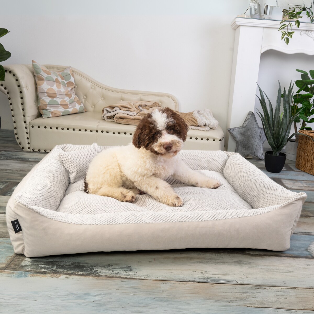 Przytulne legowisko dla psa TEO, 80x60 cm, Beż
