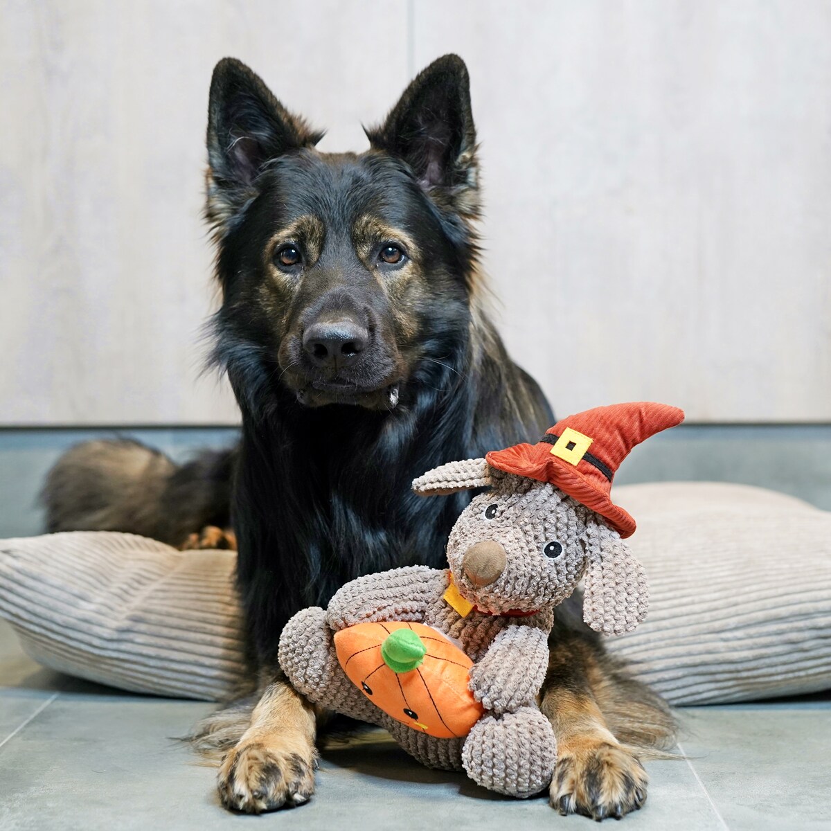 Poduszka dla psa ze sztruksu MOLLY, 100x80 cm, Beż