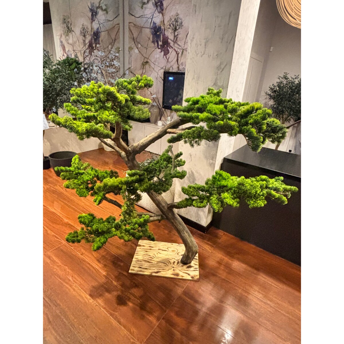 Bonsai na naturalnym pniu 150 cm.