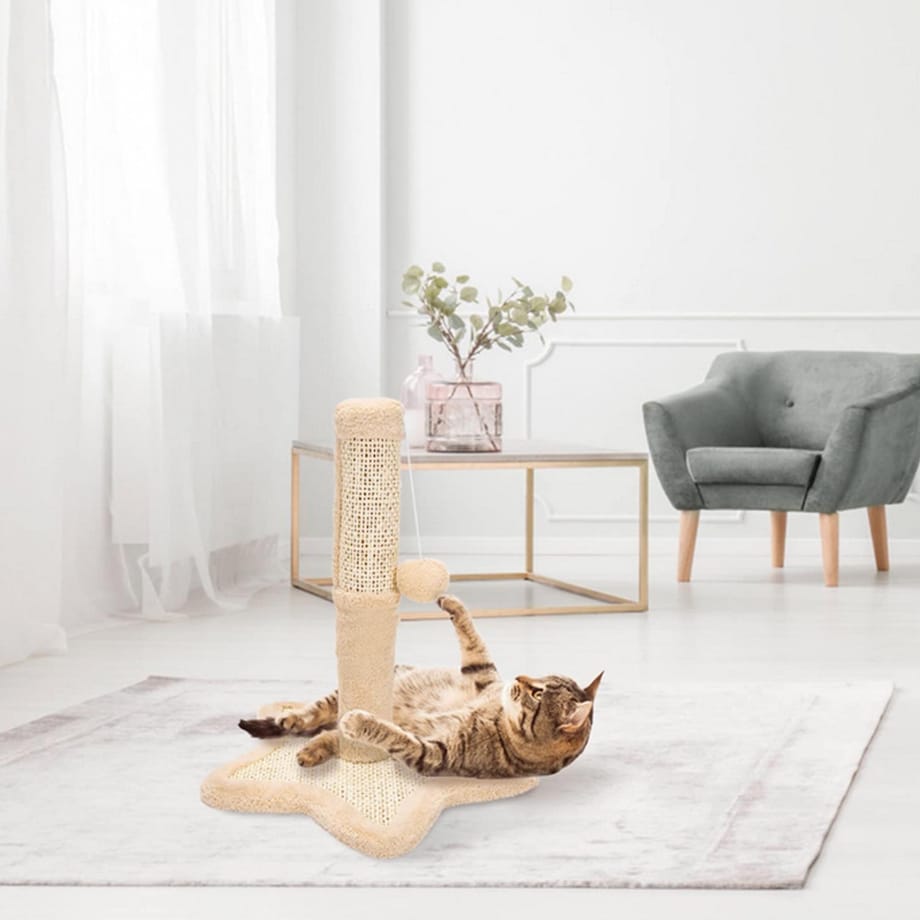 Drapak Dla Kota Słupek Zabawka Drzewko Piłka Mysz