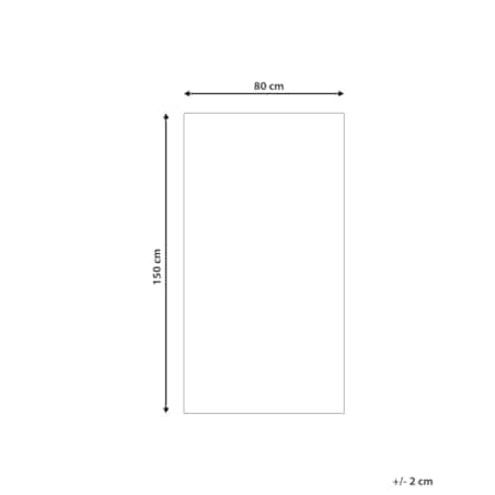 Dywan shaggy 80 x 150 cm szary EVREN