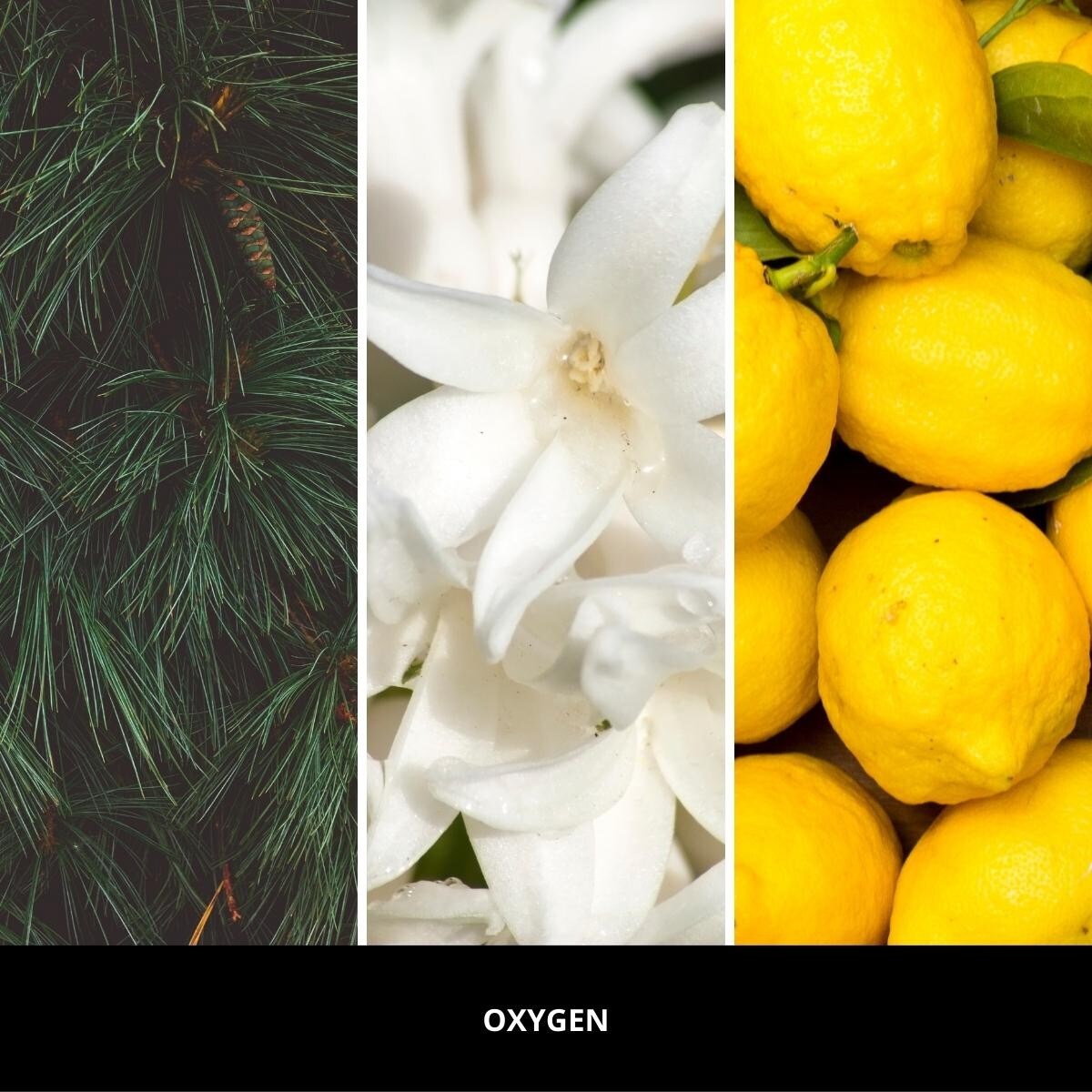 MM LED-uzupełniacz OXYGEN