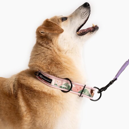 Obroża półzaciskowa SUPER SOFT "Łot de fok" - Szerokość taśmy: 38mm, Rozmiar: XL