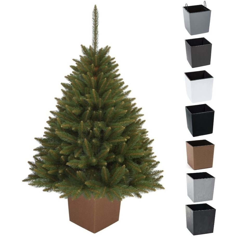 Choinka Premium Świerk SYBERYJSKI w Kwadratowej Donicy 130 cm X-Choinka 7 kolorów donicy