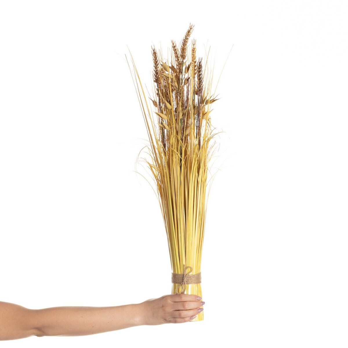 Dekoracja Suszone Zboża 74cm, 8 x 8 x 74 cm