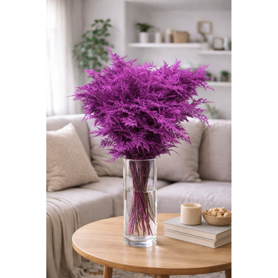 Asparagus Cerise – bukiet , 50 szt., wysokość ok. 80 cm, 550–600 g