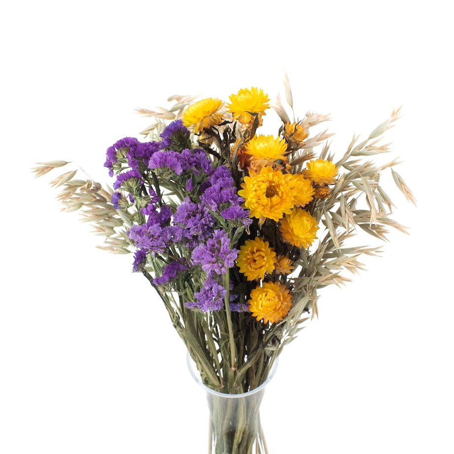 Zestaw suszonych kwiatów Autunno roz. S - zatrwian, kocanka, owies